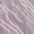 Lavender Sands