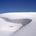 Vanishing Footprints